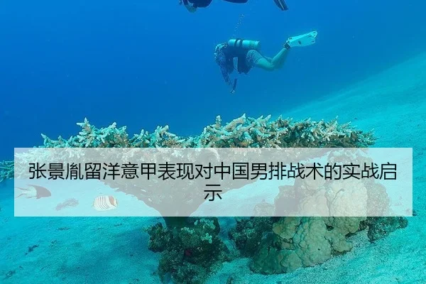 张景胤留洋意甲表现对中国男排战术的实战启示